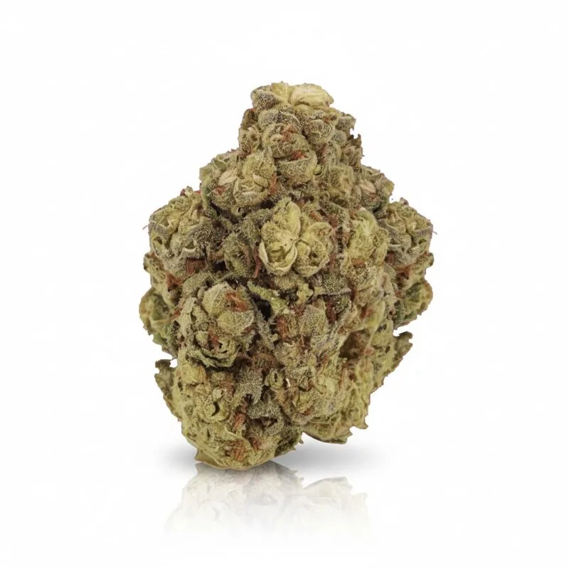 Pink Kush